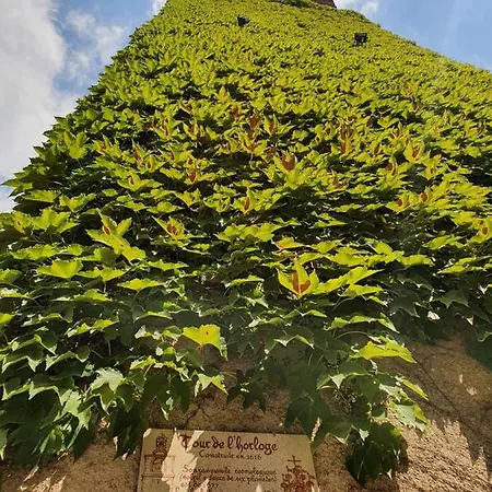 La Maison Provencale 게스트하우스 *